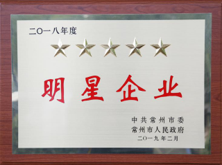 常寶股份榮獲“工業(yè)五星級(jí)企業(yè)”、“納稅金獎(jiǎng)”等多項(xiàng)大獎(jiǎng)156.png